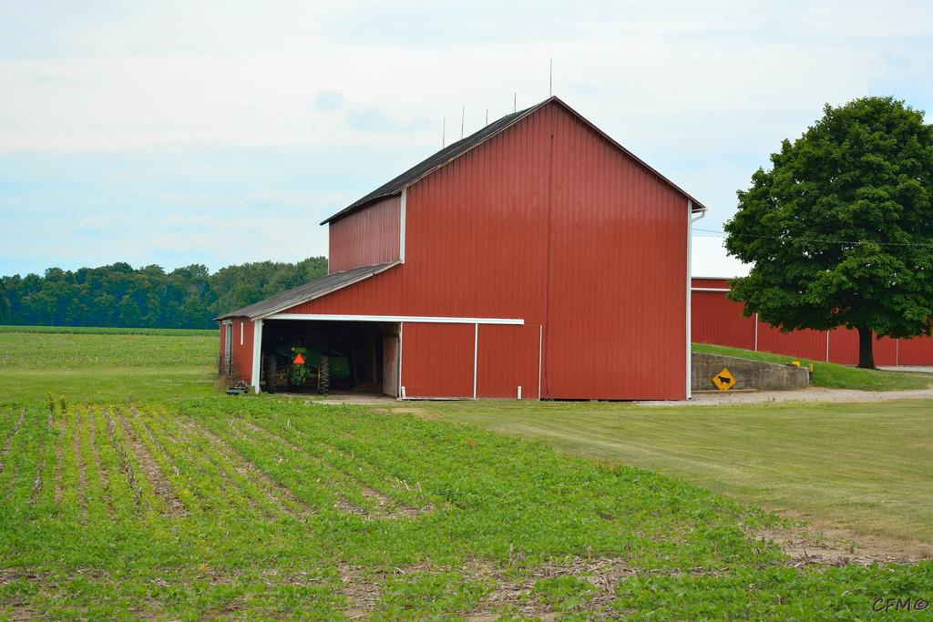 DSC_0318 nxd.jpg