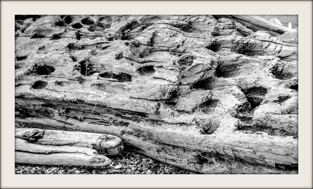 DSC_0321 - Copy.jpg
