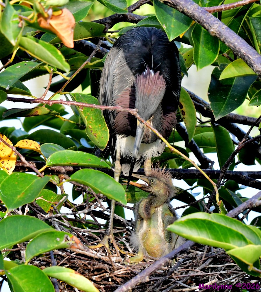 DSC_0321_001.JPG