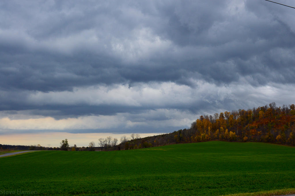 DSC_0322.jpg