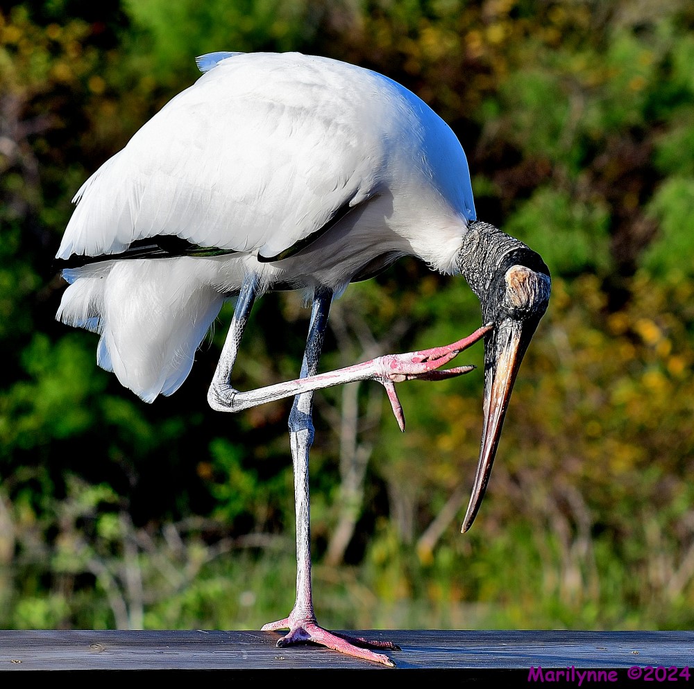 DSC_0322_001.JPG