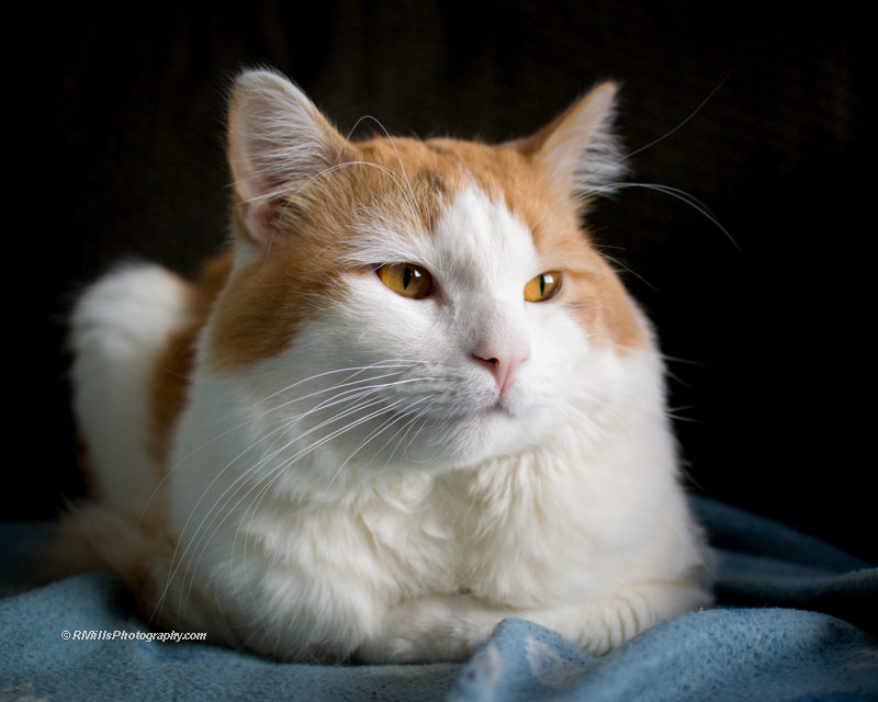 DSC_0324_9799.jpg
