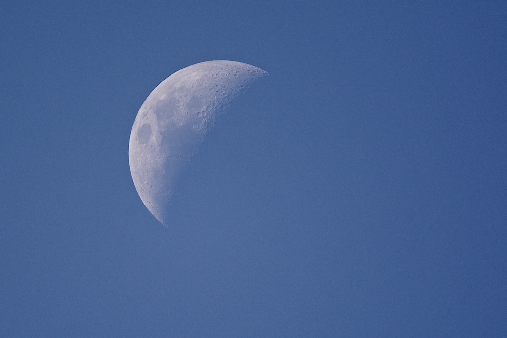 DSC_0325.jpg