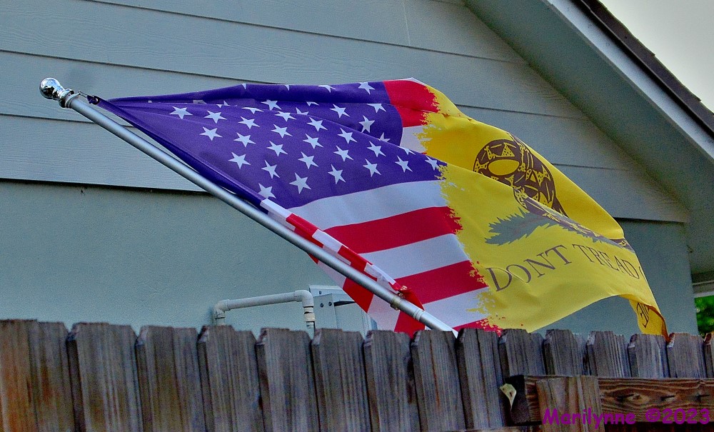 DSC_0328_001.JPG