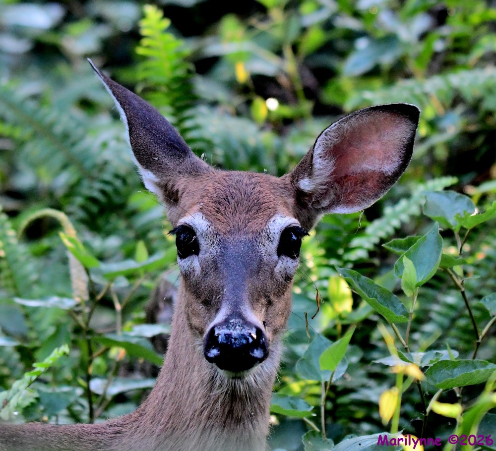 DSC_0329_001.JPG