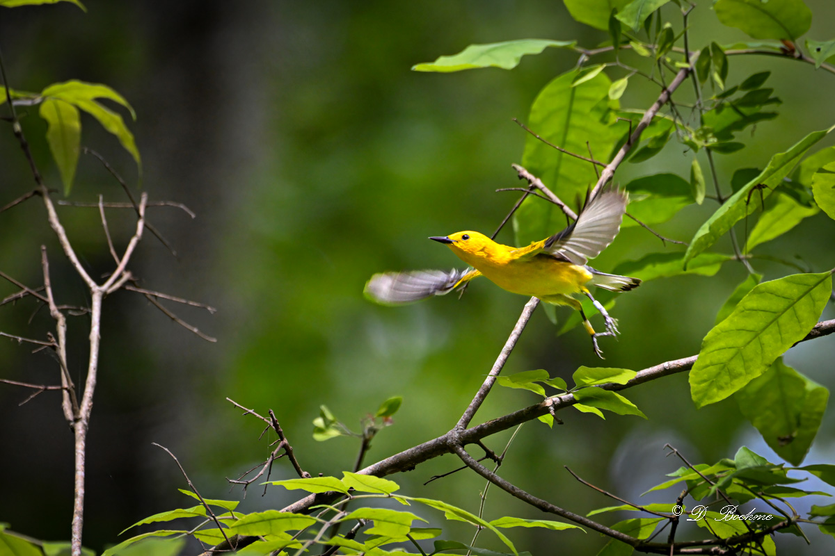DSC_0335-topaz-denoise-sharpen.jpg