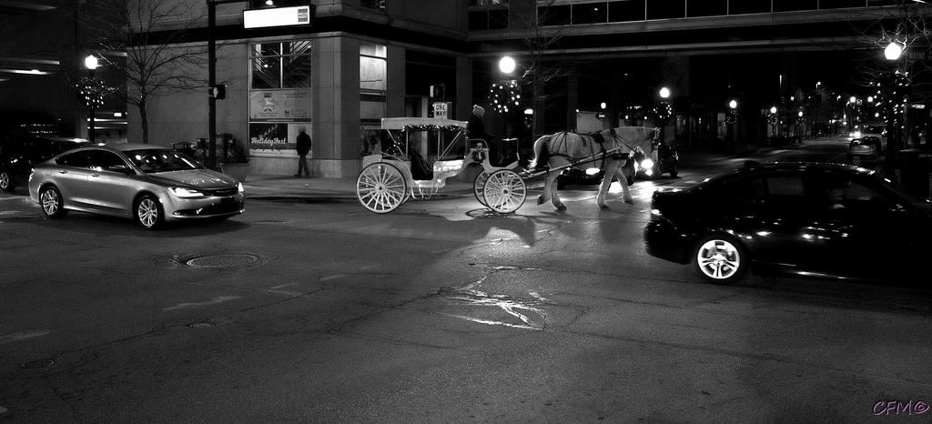 DSC_0339 nxd bw.jpg