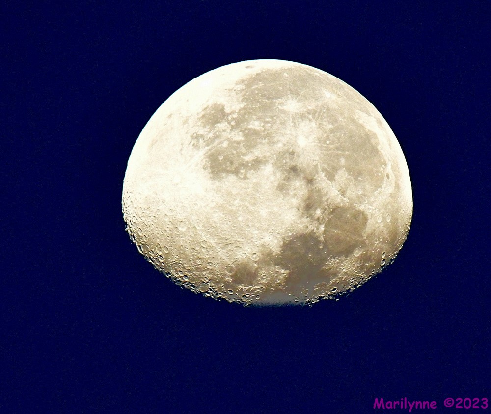 DSC_0341_001.JPG