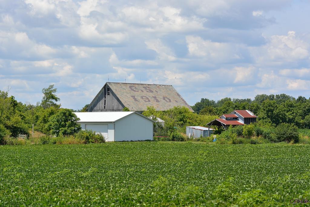 DSC_0346 nxd.jpg