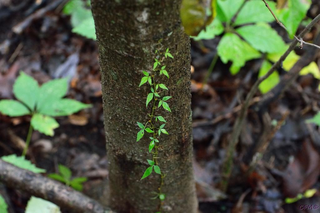 DSC_0348 nxd.jpg