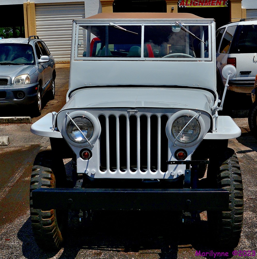 DSC_0348_001.JPG