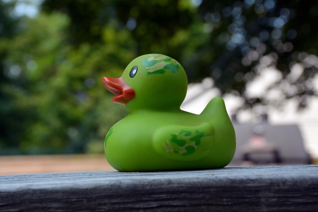 DSC_0349.jpg