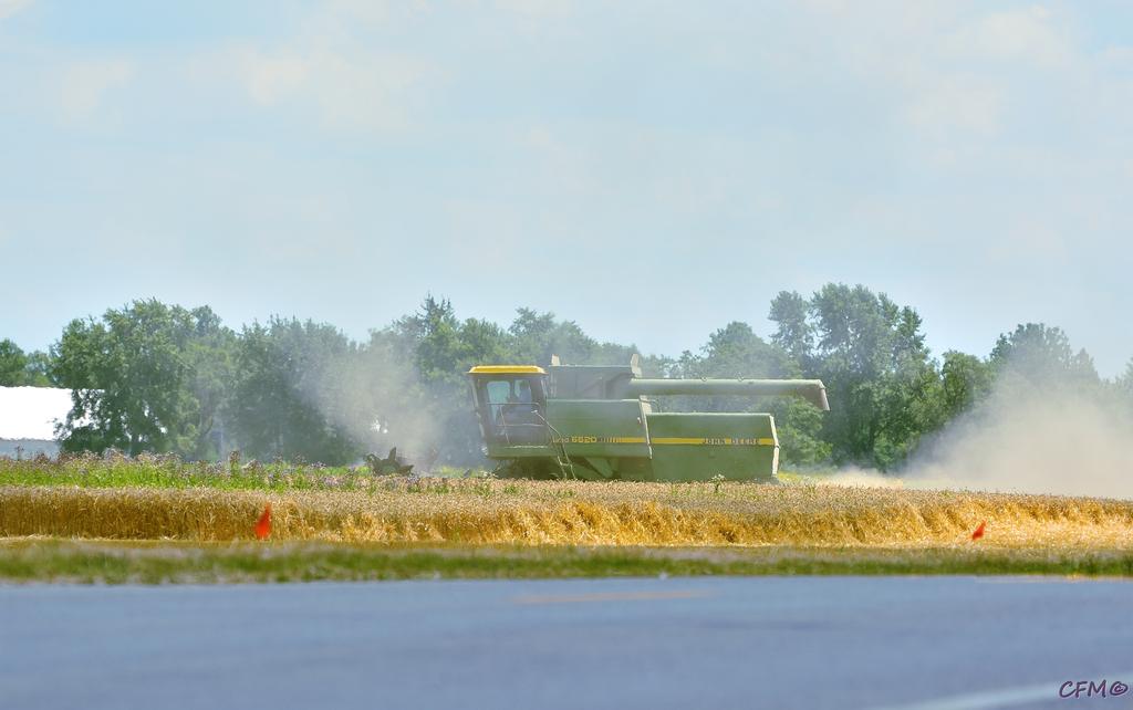 DSC_0349 nxd.jpg