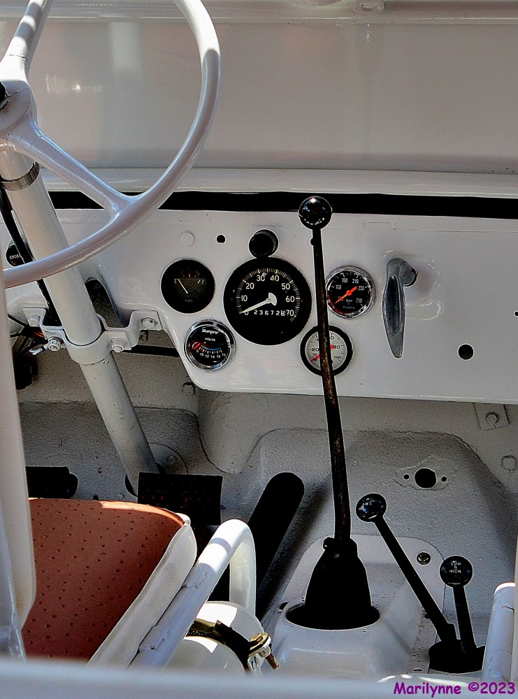 DSC_0350_001.JPG