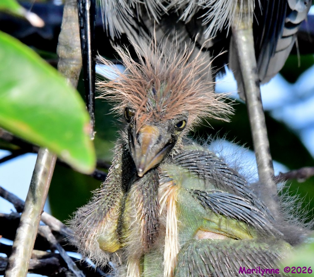 DSC_0350_001.JPG