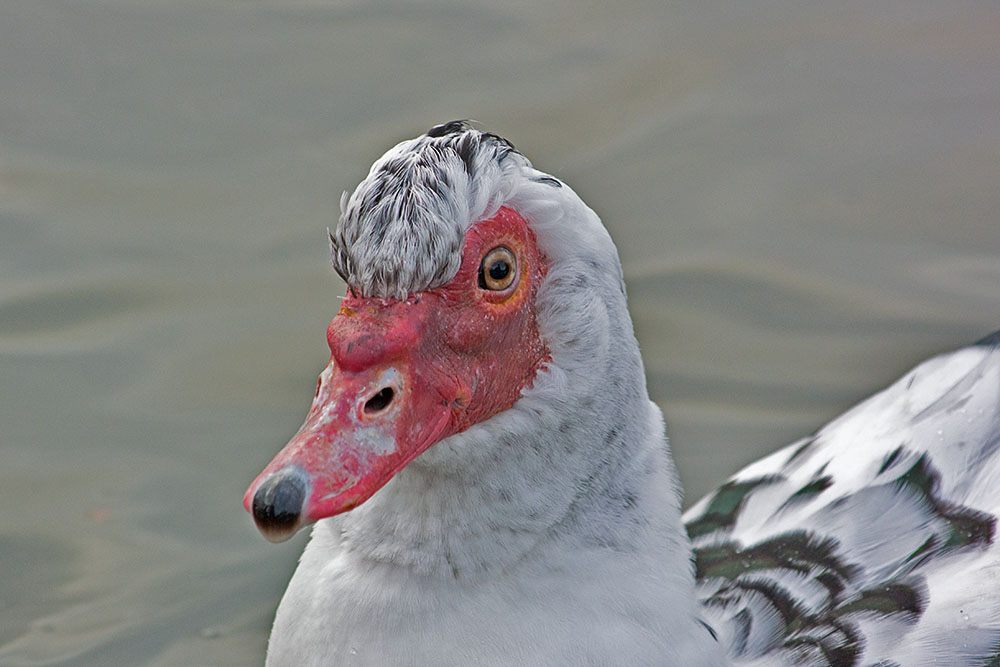 DSC_0352.jpg
