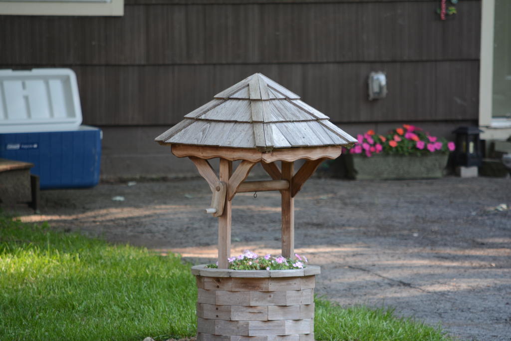 DSC_0353.jpg