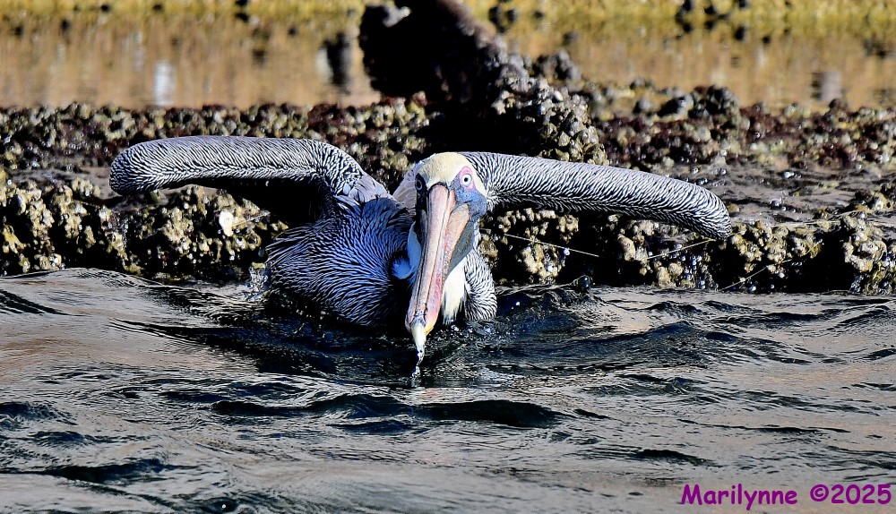 DSC_0357_001.JPG