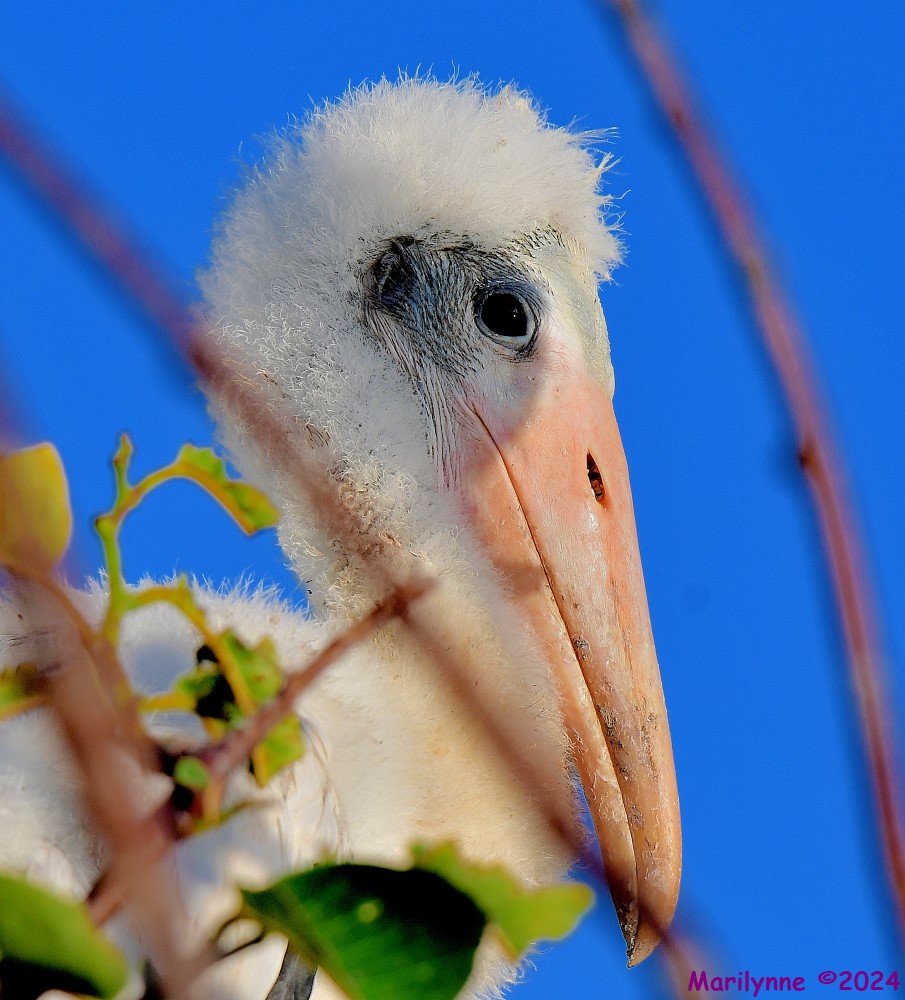 DSC_0358_001.JPG