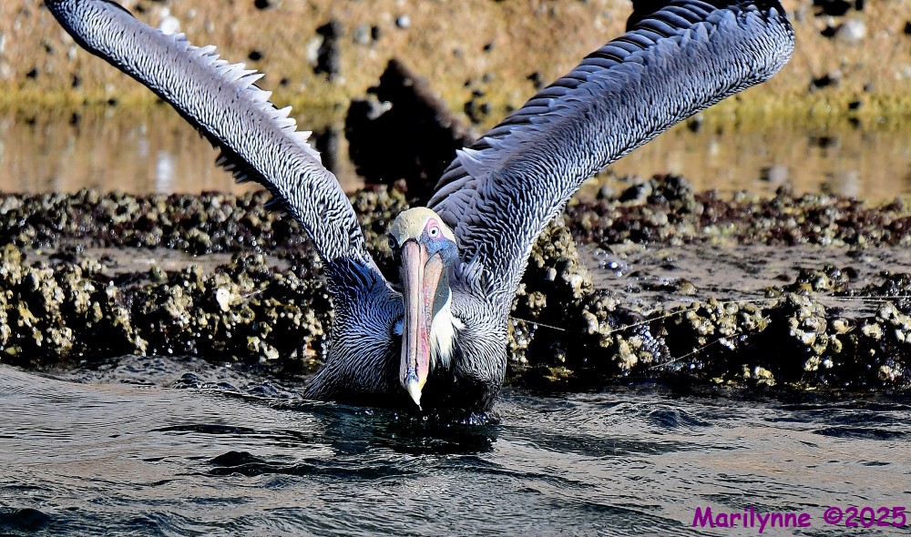 DSC_0359_001.JPG