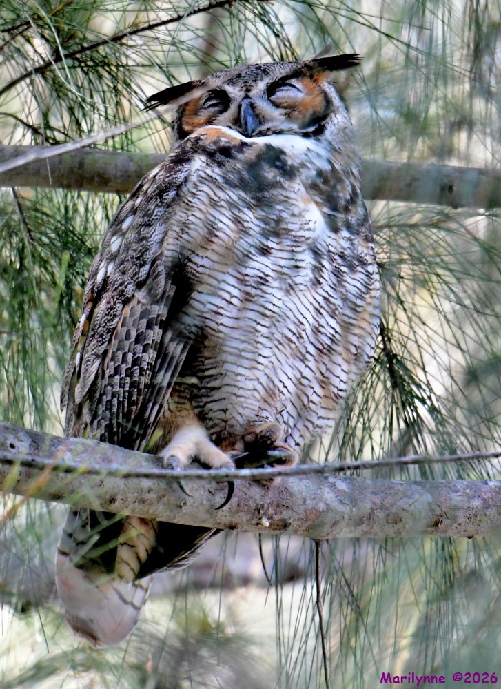 DSC_0359_001.JPG