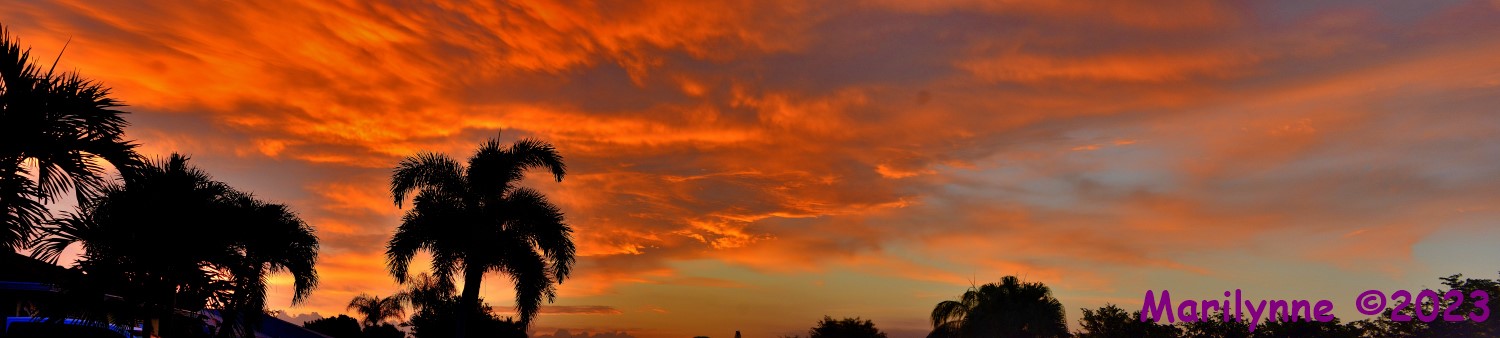 DSC_0359_stitch10_001.JPG