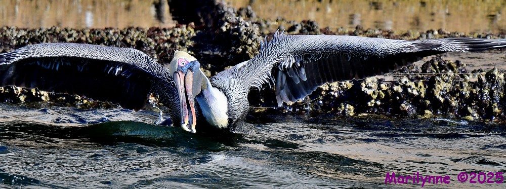 DSC_0360_001.JPG