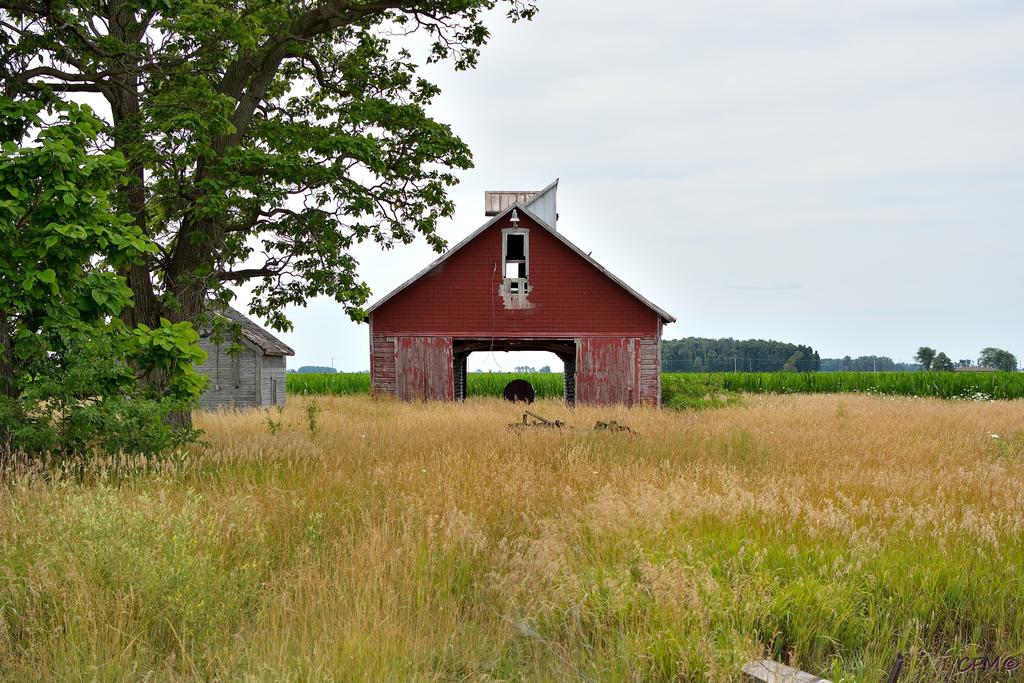 DSC_0369 nxd.jpg