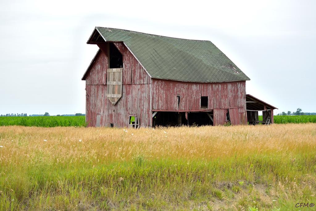 DSC_0370 nxd.jpg