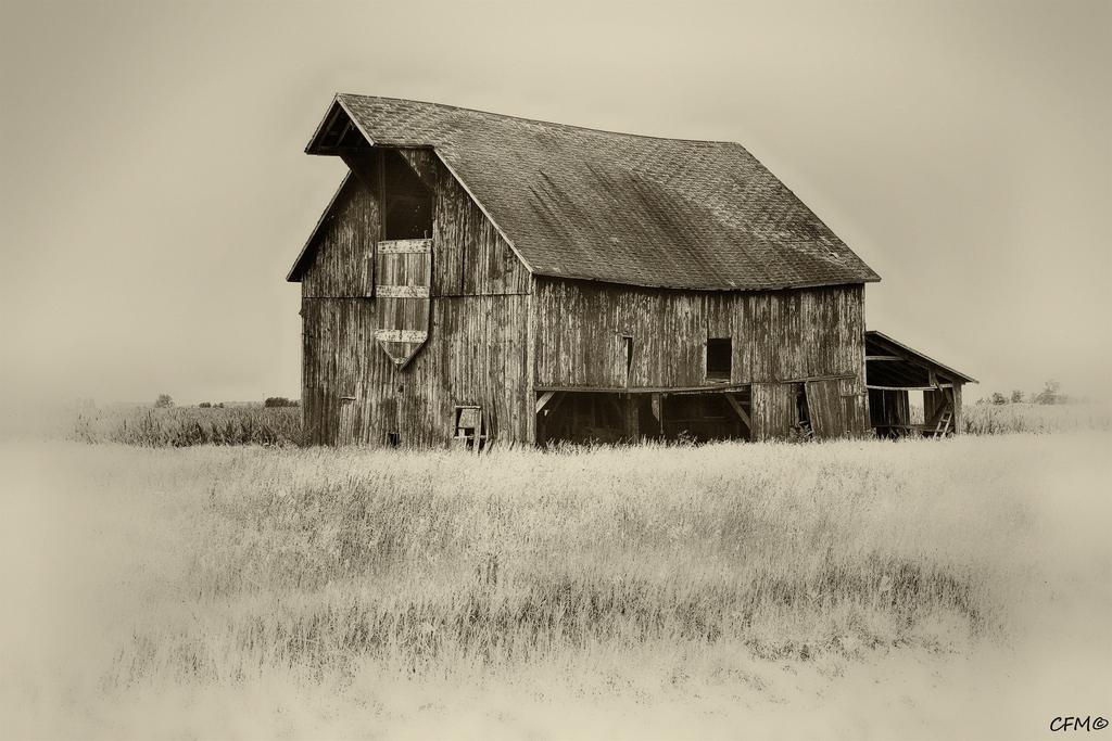 DSC_0370_1.jpg