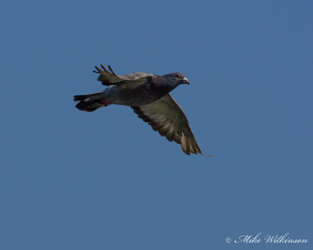 DSC_0371.jpg