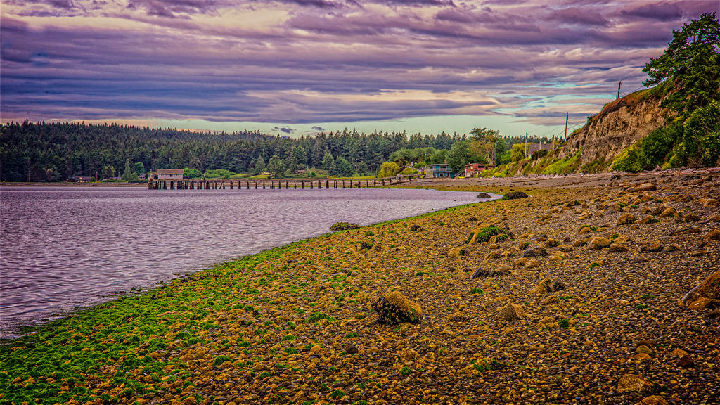 DSC_0373-Edit.jpg
