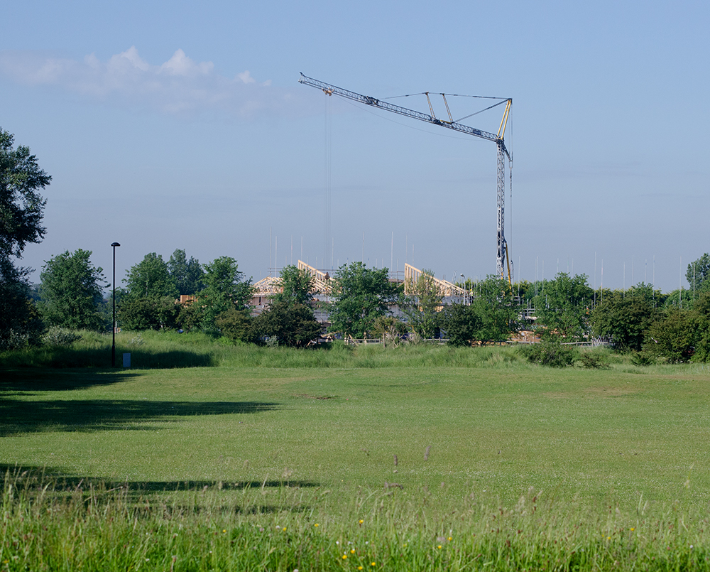 DSC_0375.jpg