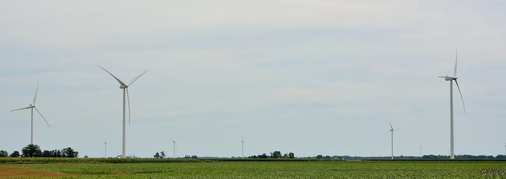 DSC_0378 nxd.jpg