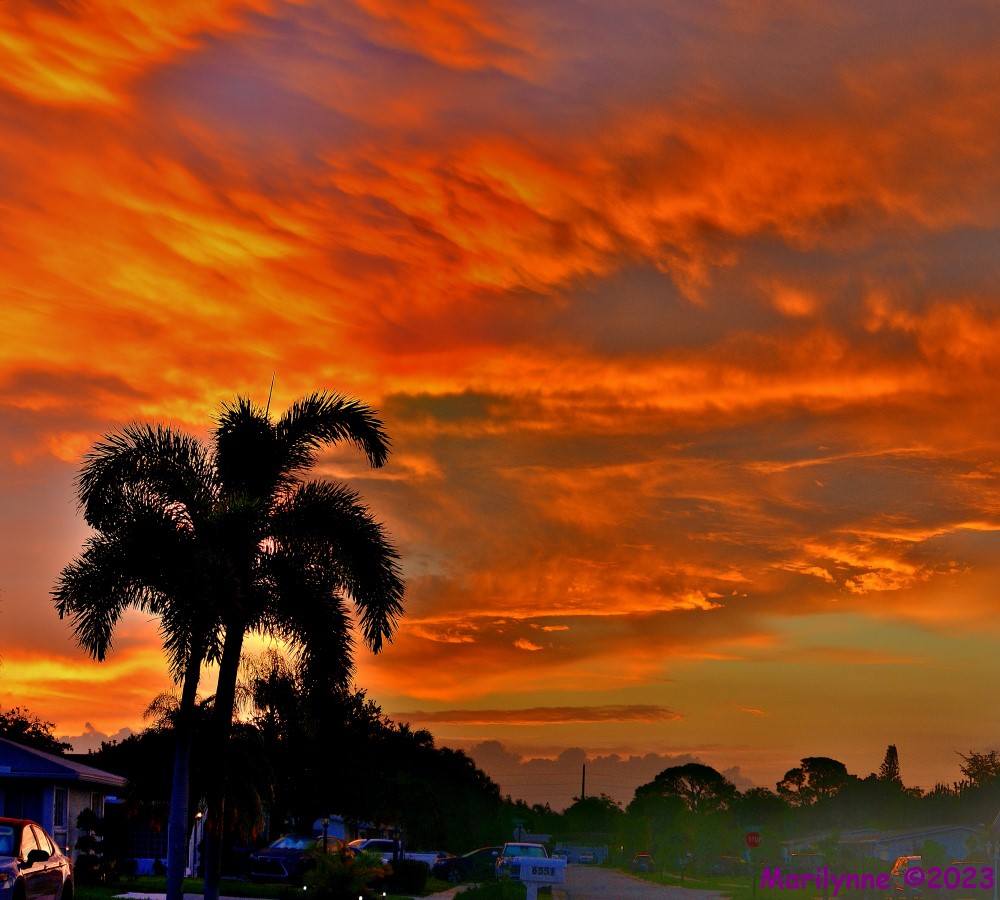 DSC_0379_stitch4_001.JPG