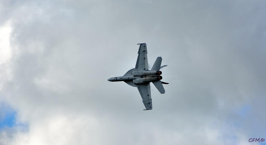 DSC_0380 nxd.jpg