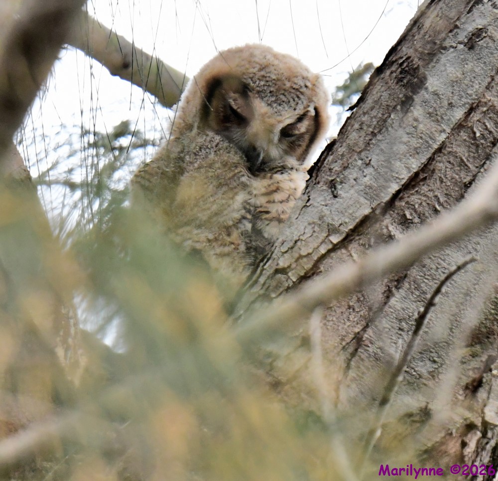 DSC_0381_001.JPG
