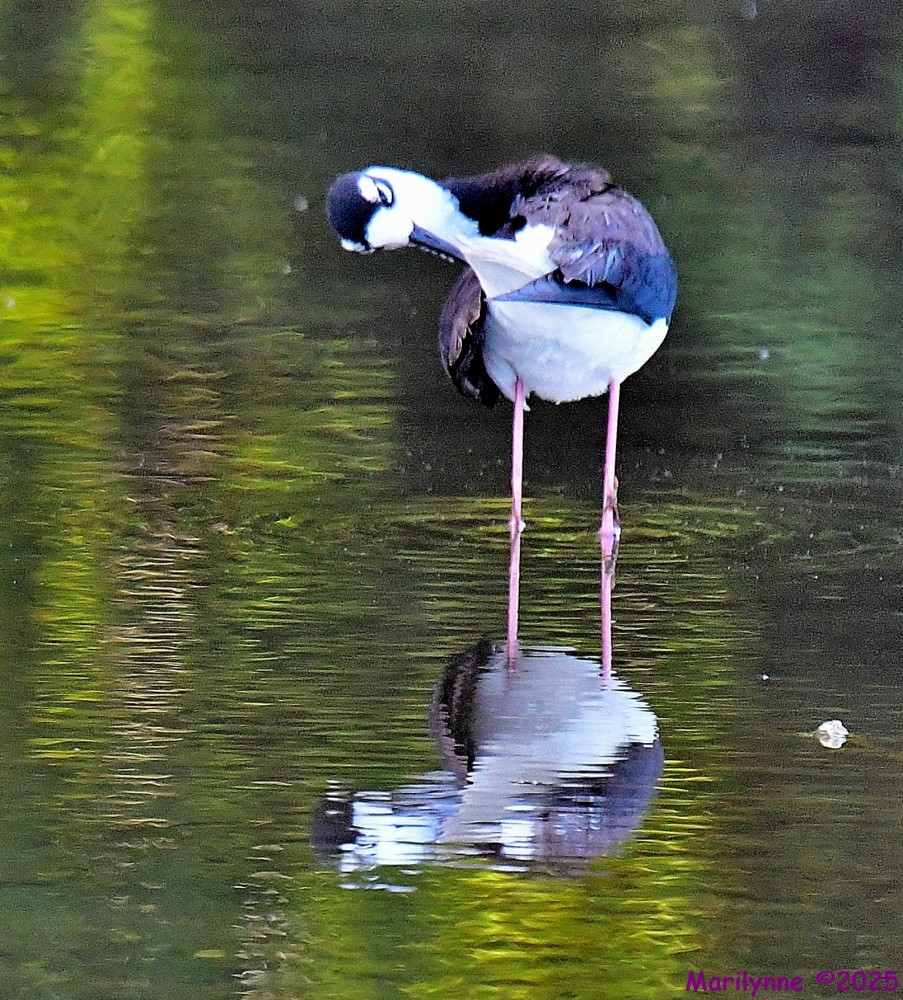 DSC_0383_001.JPG