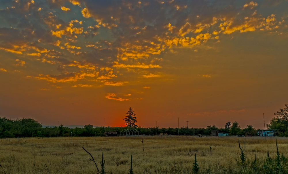 DSC_0384-Pano-Edit.jpg