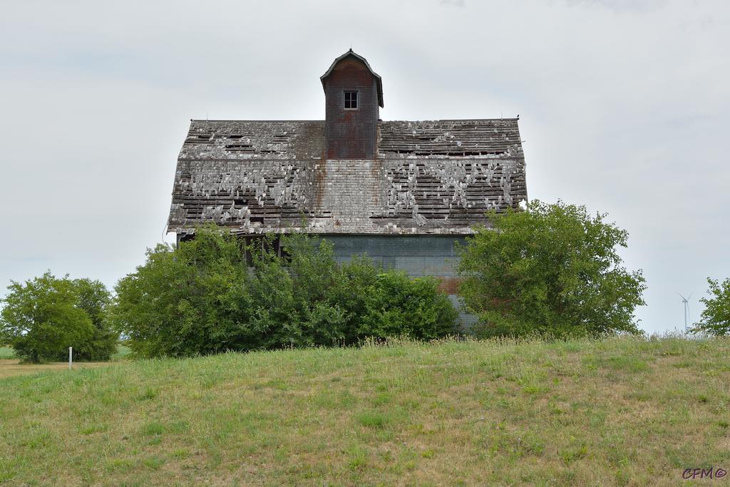 DSC_0385 nxd.jpg