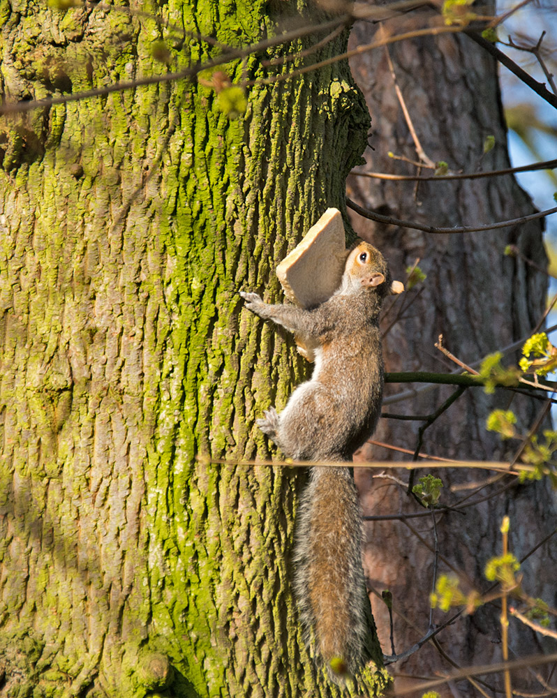 DSC_0387.jpg