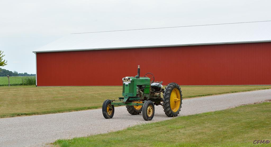 DSC_0387 nxd.jpg