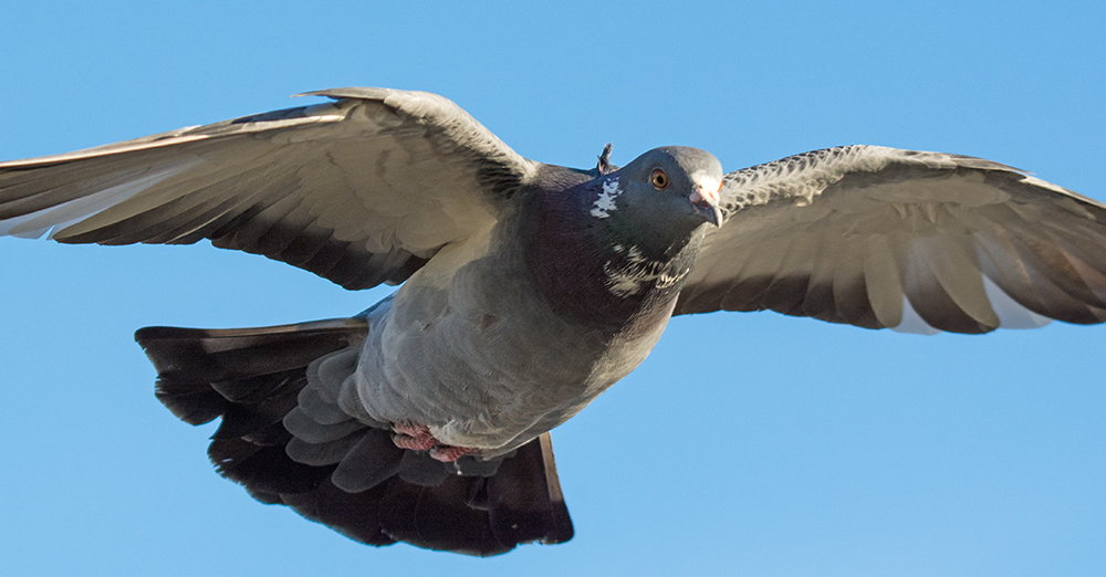 DSC_0389.jpg