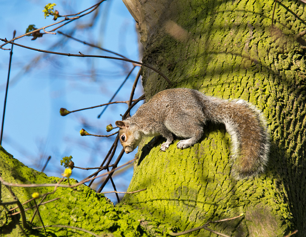 DSC_0390.jpg