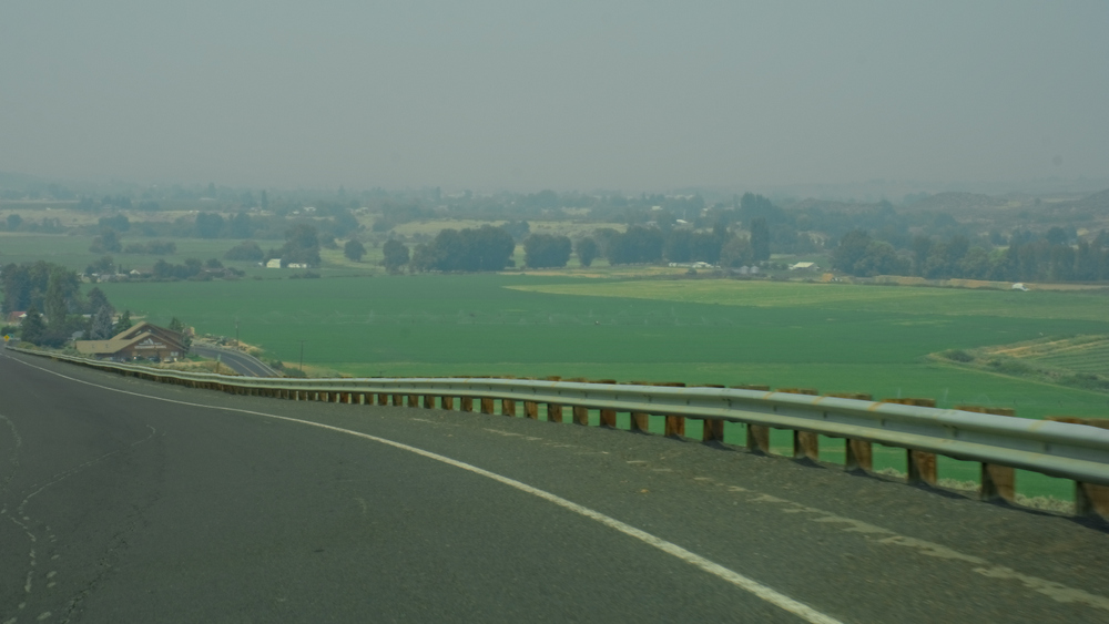 DSC_0393-Edit.jpg