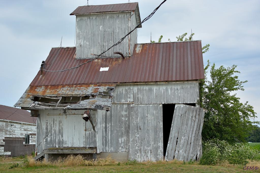 DSC_0393 nxd.jpg