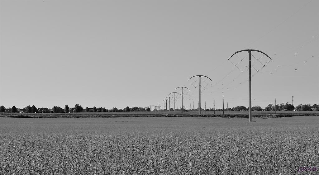 DSC_0394 nxd.jpg
