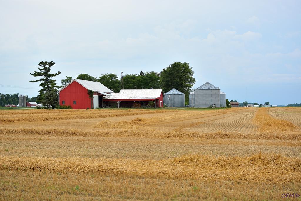 DSC_0398 nxd.jpg