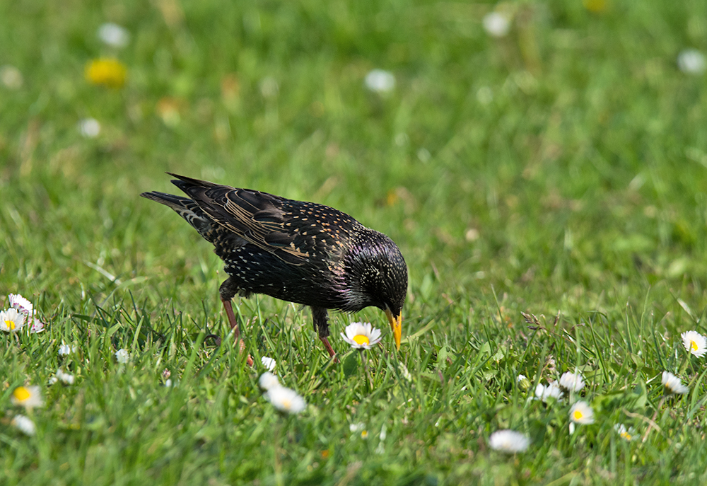 DSC_0399.jpg