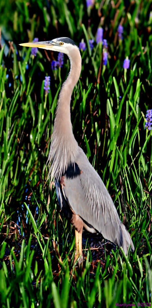 DSC_0400_stitch_001.JPG